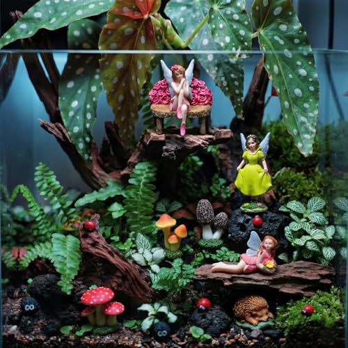 Fairy Garden Figurines Set of 6-3 Mini Fairies with 2 Mushrooms & Hedgehog, Resin Miniature Figurines for Fairy Garden Decor, Outdoor Garden Statues, DIY Terrarium Accessories - color: 6pc