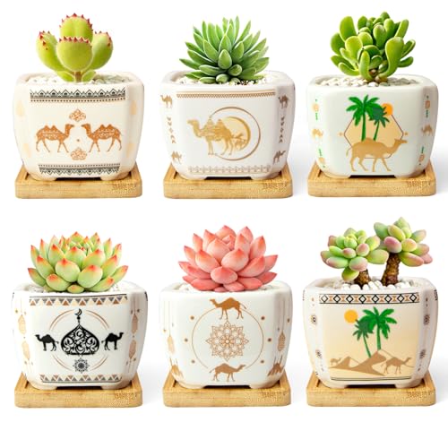 Succulent Pots with Drainage, 3.2" Small Plant Pots with Bamboo Trays, Ceramic Pots for Indoor Plants, Cactus Pots, Mini Succulent Planters for Home Garden Decor, Set of 6 - color: Mid-e-square