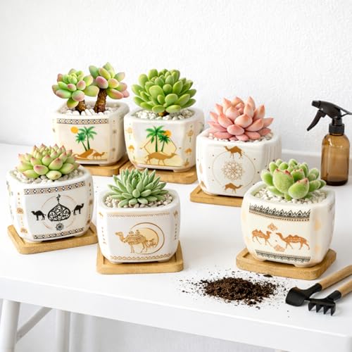 Succulent Pots with Drainage, 3.2" Small Plant Pots with Bamboo Trays, Ceramic Pots for Indoor Plants, Cactus Pots, Mini Succulent Planters for Home Garden Decor, Set of 6 - color: Mid-e-square