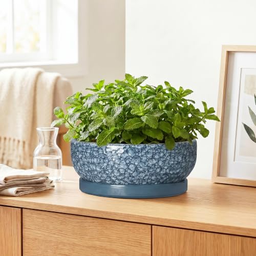 10 Inch Ceramic Bonsai Pots with Saucer, Scale Blue - color: Scale Blue, size: 10 Inch
