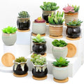 Remerry 12 Pcs Ceramic Succulent Pots with Drainage 3.5 Inch Bamboo Tray - size: 3.5 Inch