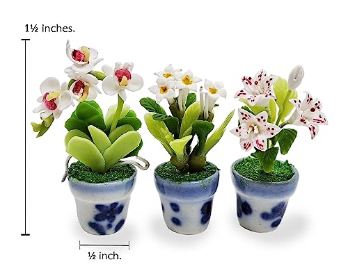 WitnyStore Tiny 1½" High 3 Pieces Set Lily Orchid Plumeria Hand Made Artificial Flowers Realistic Colorful Miniature Modelling Clay Flower Pots Brilliant Variety of House Plant Species Home Decoration