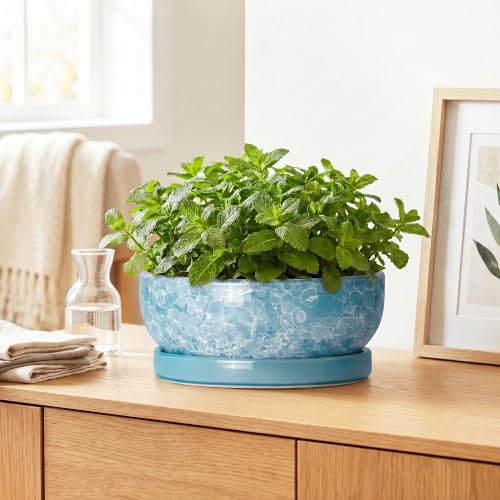 Bonsai Tree Pots, 10 Inch Ceramic Bonsai Planter, Droplet Blue - color: Droplet Blue, size: 10 Inch