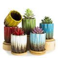 Succulent Pots, 3.15 Inch Small Plant Pots with Drainage Trays Set of 6 - color: Colorful - 3.15*3.5 Inch
