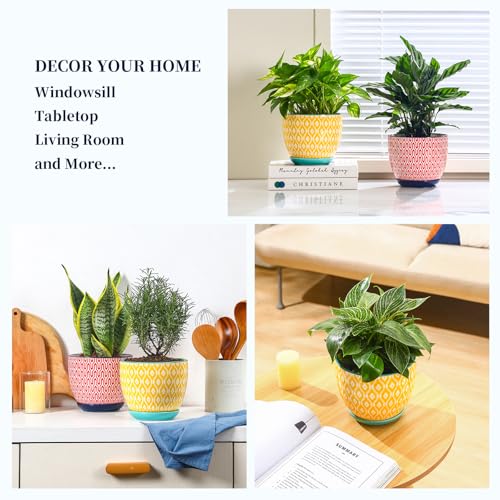 Selamica Ceramica Plant Pots, 6.5 Inch Flower Pots Set of 2 with Drainage Holes & Saucer, Planters for Indoor Plants, Home Decor, Assorted Colors - color: Assorted Colors, size: 6.5 Inch, Set of 2