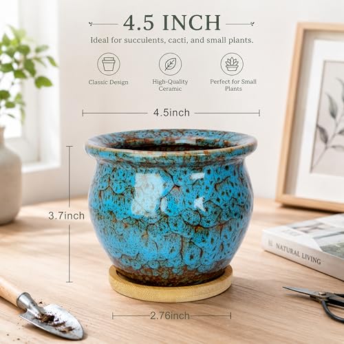 ARTKETTY Succulent Pots, 4.5'' Small Plant Pots with Drainage Tray - color: 4.5'' Colorful 2