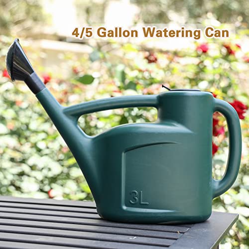 Small Watering Can for Indoor Plants with Lid & Long Spout, Drip-Free, 3L - size: 3L
