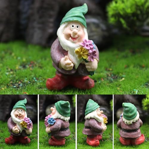 Mini Gnomes Set of 7 - Fairy Garden Accessories, Tiny Gnome Figurines for Miniature Fairy Garden Decor, Plant Pot Decorations - style: Gnome Set of 7