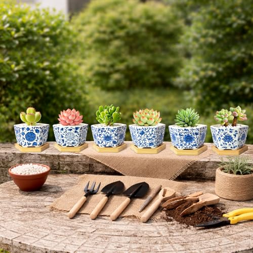 Succulent Pots, 3.7" Small Plant Pots with Drainage Tray, 6 Pack Small Planters for Indoor Plants, Ceramic Flower Pots for Cactus, Mini Succulents, Home Decor, Vintage Blue - color: Blue-porcelain-hexagon-short