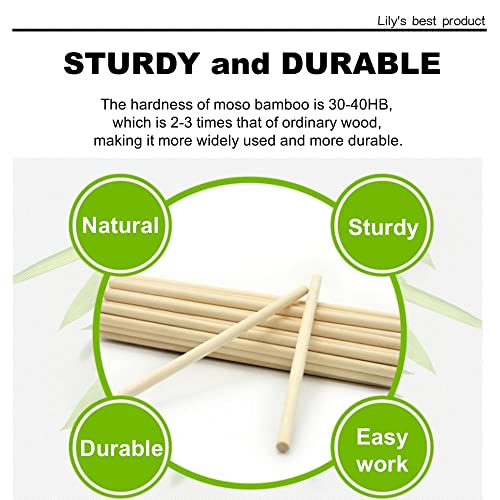 HOPELF 100PCS Dowel Rods Wood Sticks Wooden Dowel Rods - 1/8 x 6 Inch Bamboo Sticks - for Crafts，Hardwood Dowel Rod Assortment，Wooden Rod Sticks Doweling Rods， Cake Dowels and DIYers. - size: 1/8" x 6"