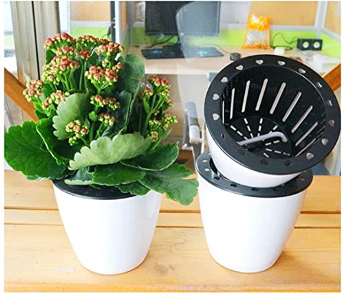 3.5“ Self Watering Planter White Flower Pot, 3 Pcs Small Planter Pot, Mini Plant Pot, for All Plants, Herbs, African Violets, Succulents, Flowers Or Start Plants, White, 3 inch - size: 3.5 Inch