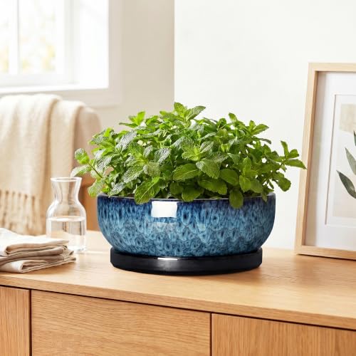 Bonsai Pots, 10 Inch Ceramic Succulent Pots with Saucer, Blue - color: Blue, size: 10 Inch