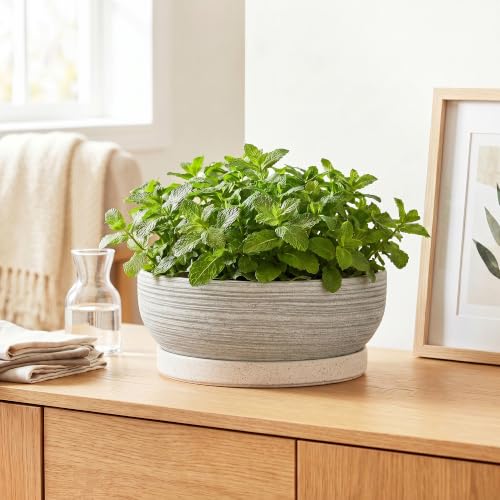 10 Inch Ceramic Bonsai Tree Pots with Saucer, Brushed Grey - color: Brushed Grey, size: 10 Inch