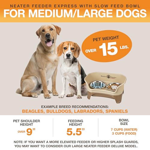 Neater Feeder - Express Model w/Slow Feed Bowl - Mess-Proof Dog Bowls (M/L, Cappuccino) Made in USA –Elevated, No Spill, Non-Tip, Non-Slip, Raised Stainless Steel Food/Water Pet Bowls Aid Digestion - color: Cappuccino, size: Medium to Large w/ Metal Slow