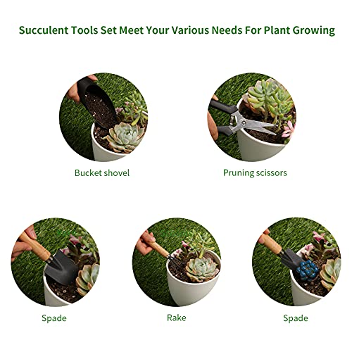 5 Pcs Succulent Tools, Mini Garden Tools, Small Indoor Plant Repotting Set - style: Luxury Garden Tools