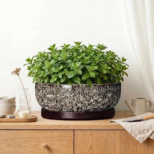 13 Inch Ceramic Bonsai Tree Pot with Saucer, White Leopard - color: White Leopard, size: 13 Inch