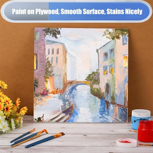 6 Pack 24 x 24 x 1/4 Inch-6mm Thick Basswood Sheets for Crafts - Unfinished Plywood Boards Square for DIY Laser Projects, Wood Burning, Engraving, Staining, Architectural Model - size: 24 x 24 x 1/4 Inch