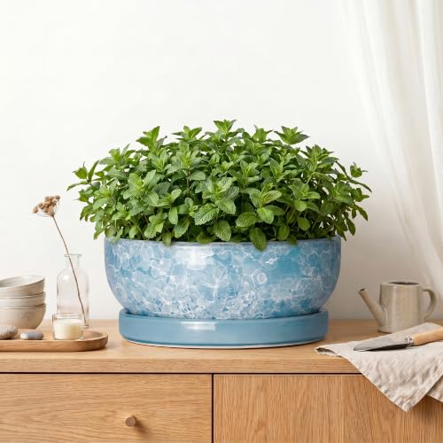 Succulent Planter, 13 Inch Ceramic Bonsai Pots, Droplet Blue - color: Droplet Blue, size: 13 Inch