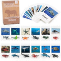 MEROCO Ocean Animals Montessori Matching Game Toys Kids Preschool - style: Marine Animal
