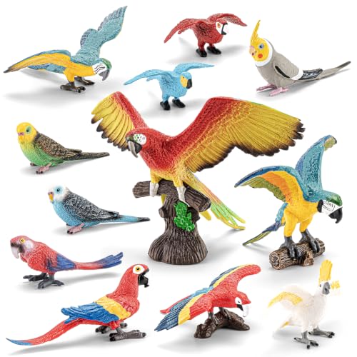 12PCS Large Parrot Toys for Kids, Realistic Bird Figurines Toy Set — Solid Plastic Rainforest Animal Figures for Toddlers 3-5, Bird Cake Toppers & Party Favors for Boys Girls - style: 12PCS Large Parrot Toys