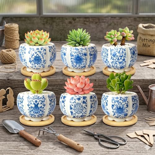 3.1 Inch Flower Pots Succulent Pots with Drainage Bamboo Tray Set of 6 - color: Blue-porcelain-hexagon-petal