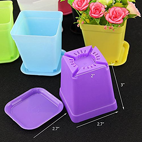 WARMBUY Colorful Plastic Flower Pots with Saucers for Small Plants, Set of 12 (Pack of 2) - size: 2.75 x 2.75 x 3-inch (Pack of 2)