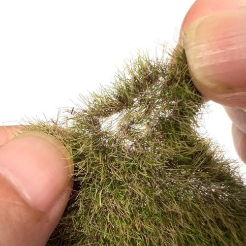 Miniature Model Grass Tufts & 8mm Static Grass Sheets for Diorama - 3.27x2.17 Inch Terrain Scenery for Railway, Train, Car Diorama & Miniature Scene Models (Autumn Green) - color: Autumn Green