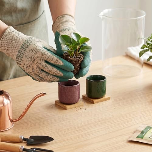Lawei 8 Pack 2.5 Inch Mini Succulent Plant Pot with Drainage and Bamboo Tray, Small Ceramic Cactus Plant Pot, Flower Pots Faux Plants Containers for Home Garden Office Decoration(Plants NOT Included)