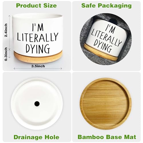 I'm Literally Dying - Quotes Funny Succulent Pots, 3.5 inch Ceramic Flower Plant Pots with Drainage Hole, Cute Cactus Planters, Birthday Gifts for Women Friends,Housewarming Gifts