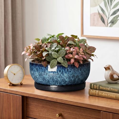 Bonsai Pots 8 Inch, Ceramic Succulent Pots with Saucer, Blue - color: Blue, size: 8 Inch