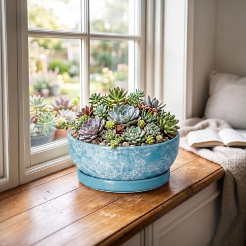 Succulent Planter 8 Inch, Ceramic Bonsai Planter, Droplet Blue - color: Droplet Blue, size: 8 Inch
