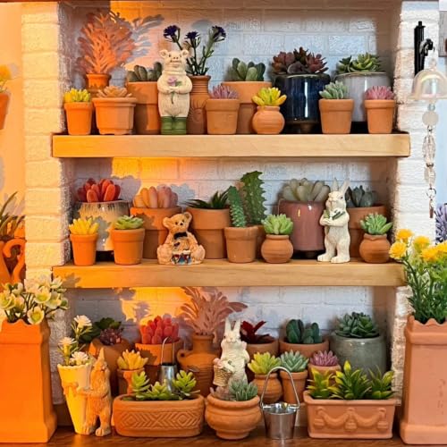 Mini Terracotta Pots – Small Clay Flower Pots for Succulents, Cactus, DIY Crafts, Fairy Garden, School Projects, Mini Planters – Set of 20 (Belly (No Drain Hole), 0.5 Inch) - size: 0.5 Inch, style: Belly (No Drain Hole)