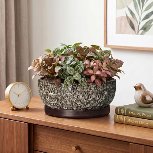 Bonsai Pots, 8 Inch Ceramic Succulent Pot with Saucer, White Leopard - color: White Leopard, size: 8 Inch