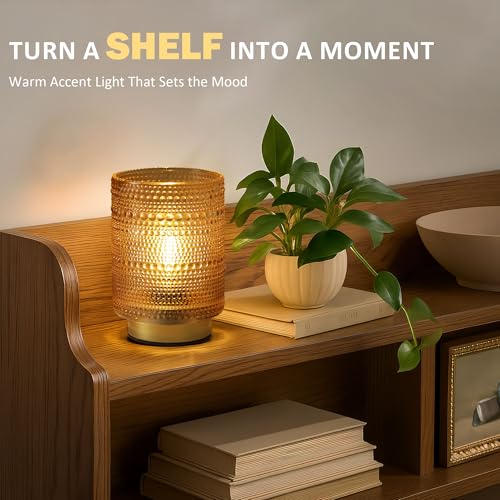 Battery Operated Decorative Lamp with Timer for Bedside/Bookshelf Decor,Cordless Small Accent Table Lamp with LED Warm Bulb for Nightstand/Entryway/Coffee Table/Office Cubicle/Dorm Room Decor(Gold) - color: Amber, size: 1 pack