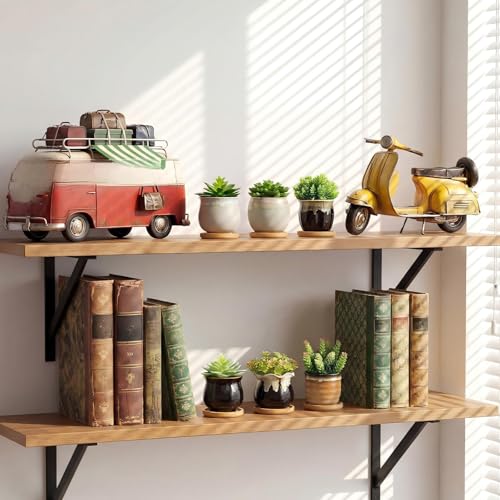 Remerry 12 Pcs Ceramic Succulent Pots with Drainage 3.5 Inch Bamboo Tray - size: 3.5 Inch