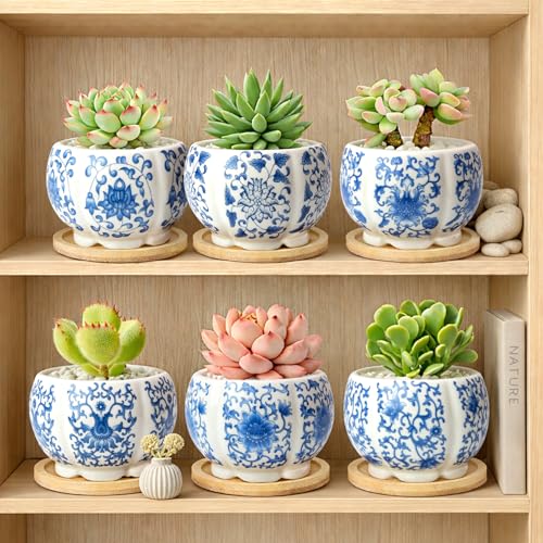 3.1 Inch Flower Pots Succulent Pots with Drainage Bamboo Tray Set of 6 - color: Blue-porcelain-hexagon-petal