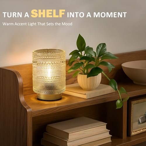 Small Battery operated Lamp with Timer for Bedside/Coffee Table/Book shelf Decor,Cordless Aesthetic Lamps with Warm Moody Lighting for Home Decor/Dorm/Entryway/Cubicle/Bathroom/ Patio Decor(Clear) - color: Clear, size: 1 pack