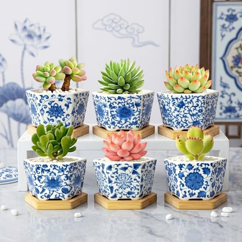 Succulent Pots, 3.7" Small Plant Pots with Drainage Tray, 6 Pack Small Planters for Indoor Plants, Ceramic Flower Pots for Cactus, Mini Succulents, Home Decor, Vintage Blue - color: Blue-porcelain-hexagon-short