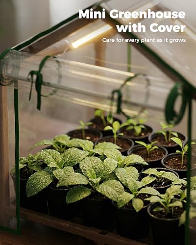 Bamworld Mini Greenhouse Indoor Desktop with Grow Lights - color: brown with grow lights, size: 19.68*19.68*15.15 inch