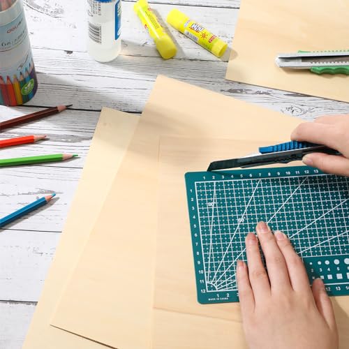 Sasylvia 30 Pcs 12 x 20 x 1/16 Inch Basswood Sheets for Crafts Plywood