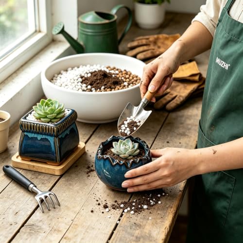 MUZHI 5PACK Glazed Bonsai Planter 3" Small Succulent Pots, RoundYixing Zisha Decorative Mame Bonsai Training Pot or Square Small Flower Cactus Starter Growing Planters Blue (5pcs Pots with Trays) - color: 5pcs Pots With Trays