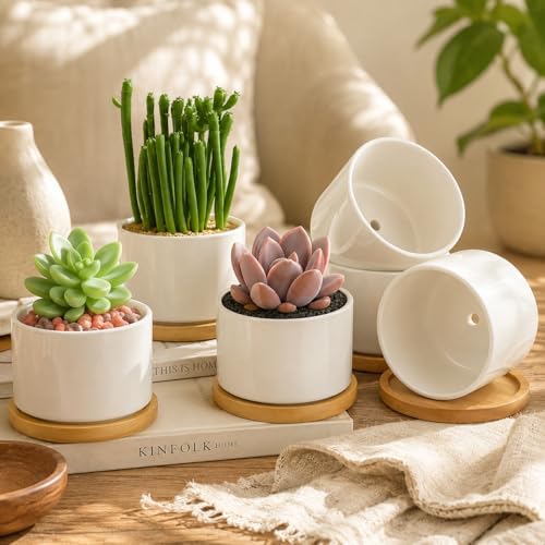 ZOUTOG 4 Pack 3.1" Ceramic Succulent Pots,White Planter with Drainage Tray - size: 4 Pack 3.1"