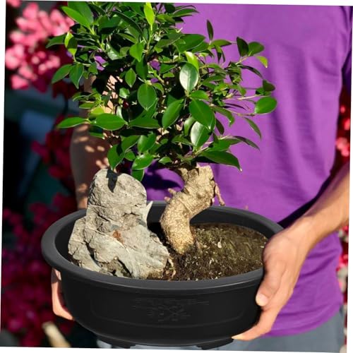 2Pcs Bonsai Training Pot 15 inch Plastic Flower Pot Bonsai Pot with Drainage Hole, Bonsai Planter Pot Plants Growing Pots for Nursery, Garden, Balcony, Black