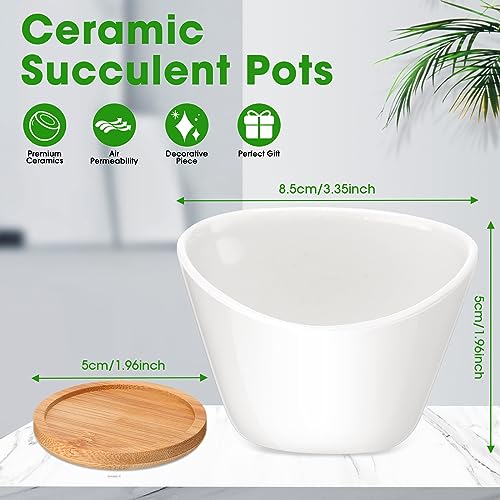 Domensi 24 Pack Small Succulent Pots, Mini Ceramic Succulent Planter, White