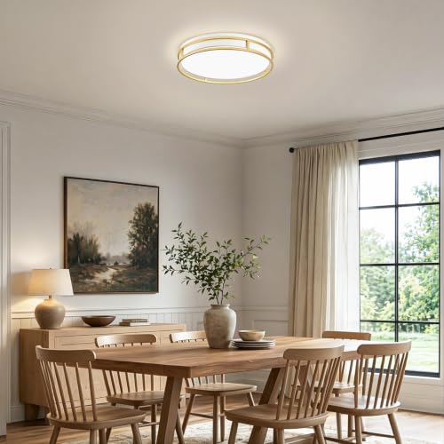 Modern Flush Mount Ceiling Light, White Gold Dimmable Ceiling Light Fixture - color: White and Gold, size: 16.5in