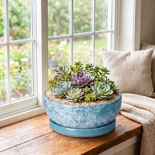 Bonsai Tree Pots, 10 Inch Ceramic Bonsai Planter, Droplet Blue - color: Droplet Blue, size: 10 Inch