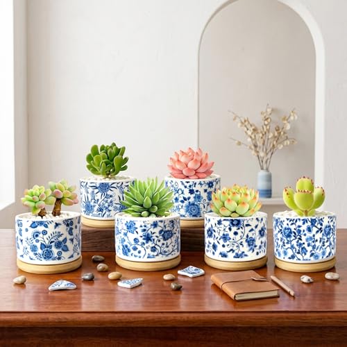 Succulent Pots, 6PCS Small Pots for Plants with Drainage & Saucers, 3.1 Inch Ceramic Flower Planters for Indoor Plants, Decorative Planters for Succulent Cactus, Home, Office, Desk - color: Blue-porcelain-round