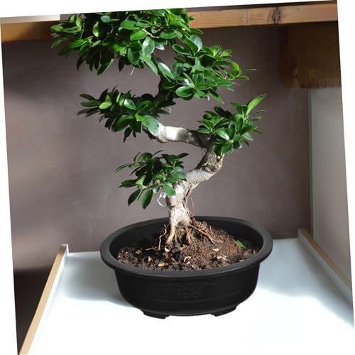 2Pcs Bonsai Training Pot 15 inch Plastic Flower Pot Bonsai Pot with Drainage Hole, Bonsai Planter Pot Plants Growing Pots for Nursery, Garden, Balcony, Black
