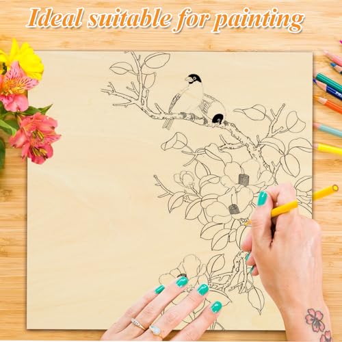 12Pcs 16 x 12 x 1/16 Inch Basswood Sheets, Unfinished Basswood Sheets, Plywood Sheet for Arts and Crafts, Painting, Pyrography, Wood Engraving, Wood Burning, Laser, Architectural Models