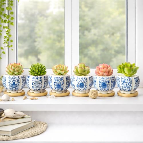 3.1 Inch Flower Pots Succulent Pots with Drainage Bamboo Tray Set of 6 - color: Blue-porcelain-hexagon-petal